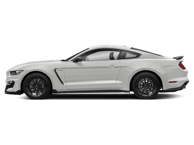 2019 Ford Mustang Shelby GT350
