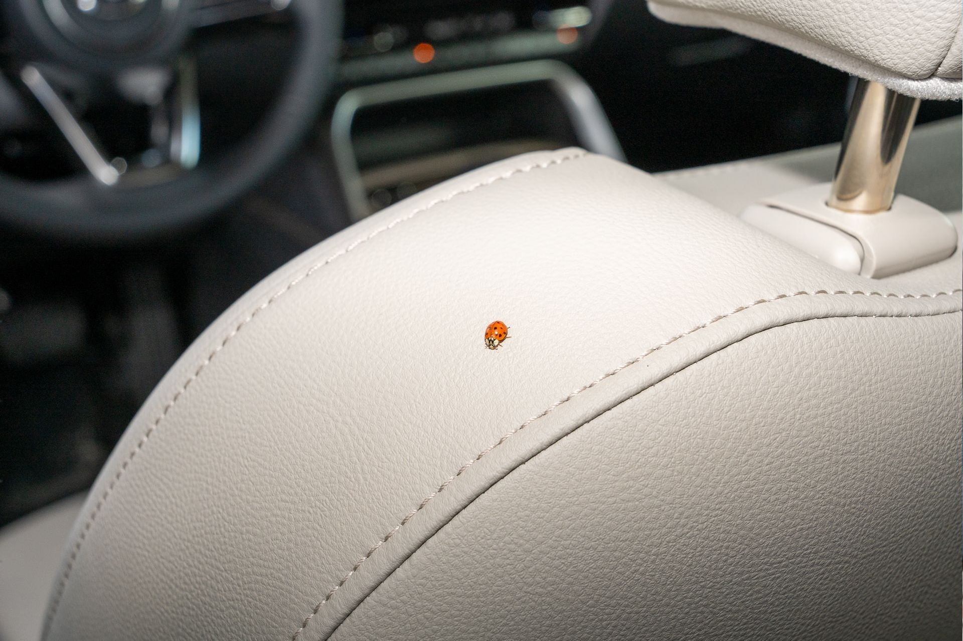 2026 Mazda Mazda CX-90 3.3 Turbo Preferred