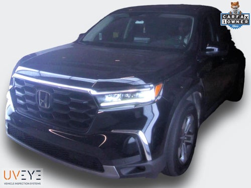 2024 Honda Pilot EX-L 8 Passenger