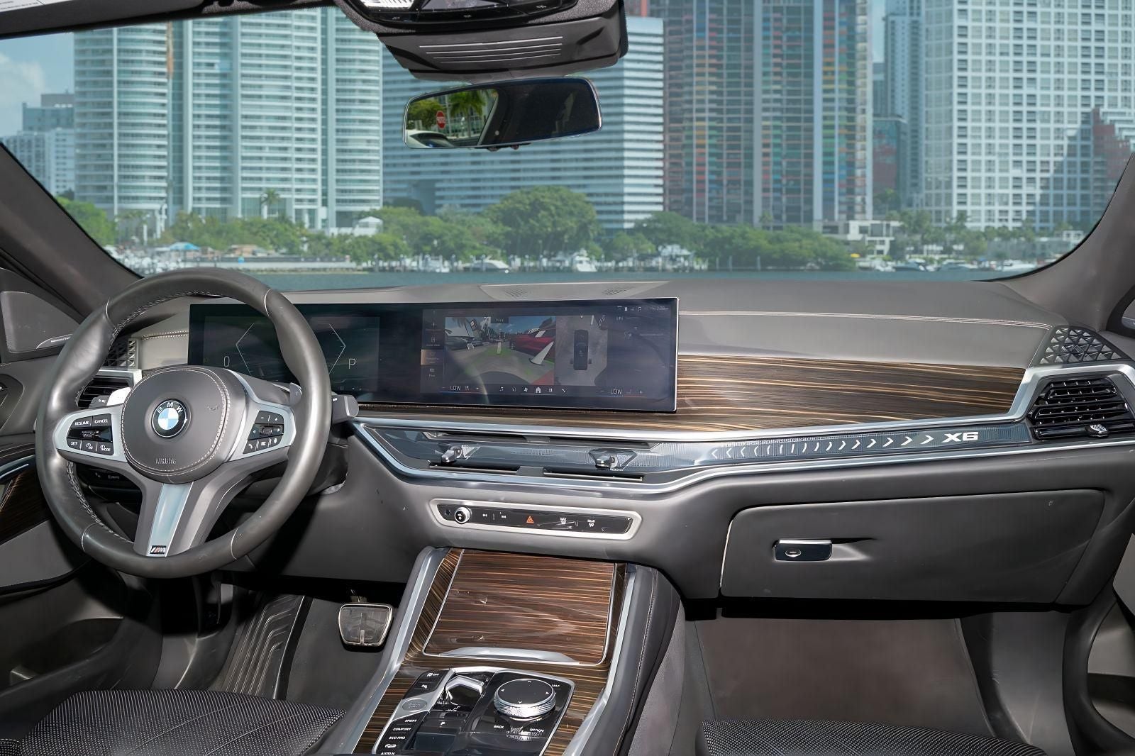 2025 BMW X6 xDrive40i