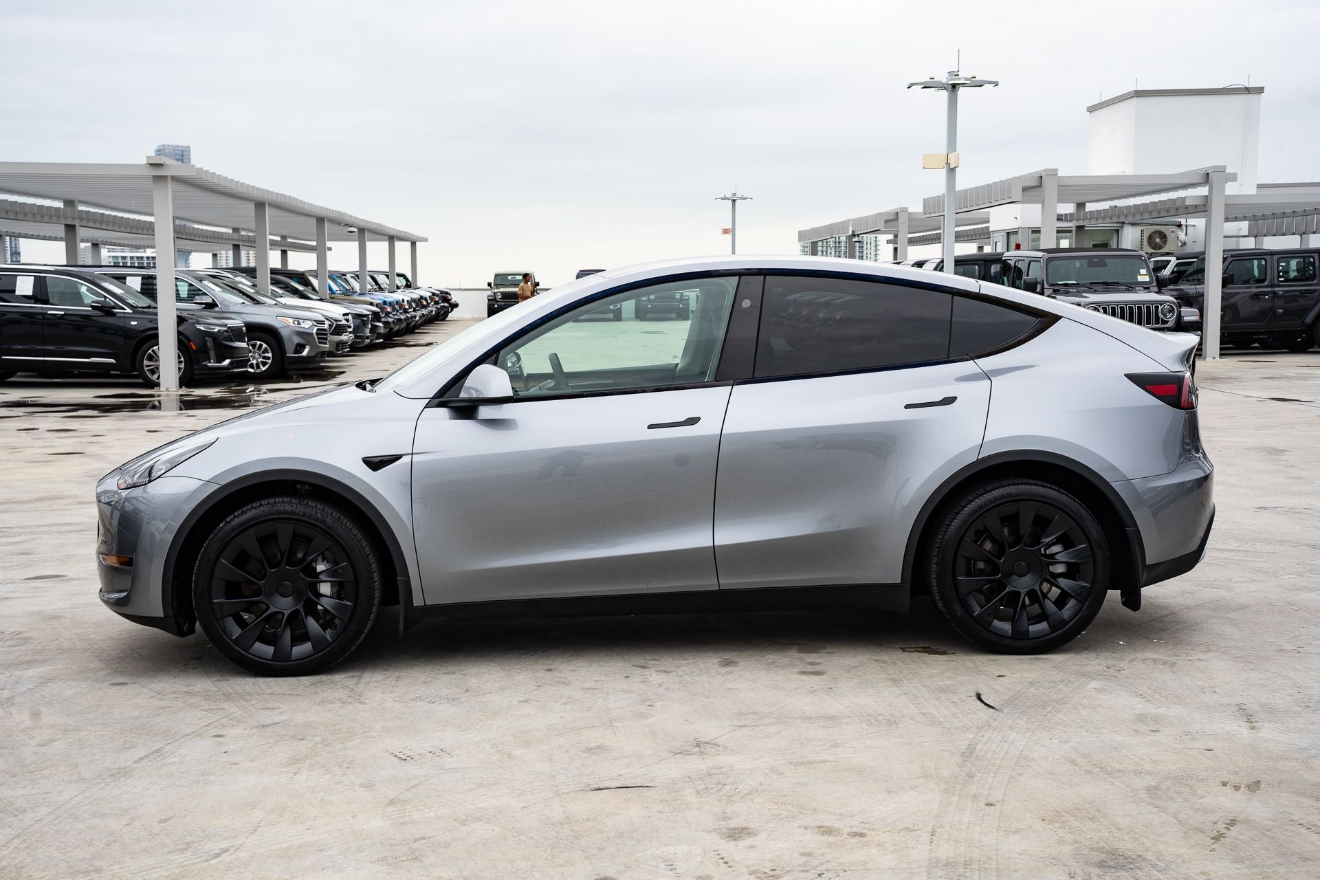 2024 Tesla Model Y Long Range