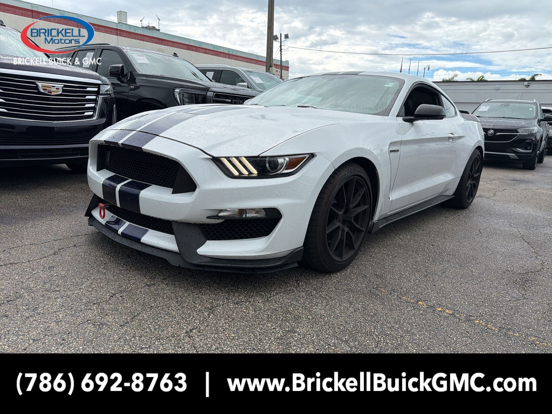2019 Ford Mustang Shelby GT350