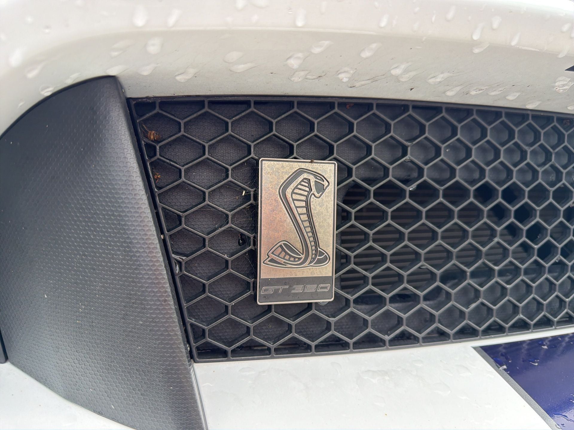 2019 Ford Mustang Shelby GT350