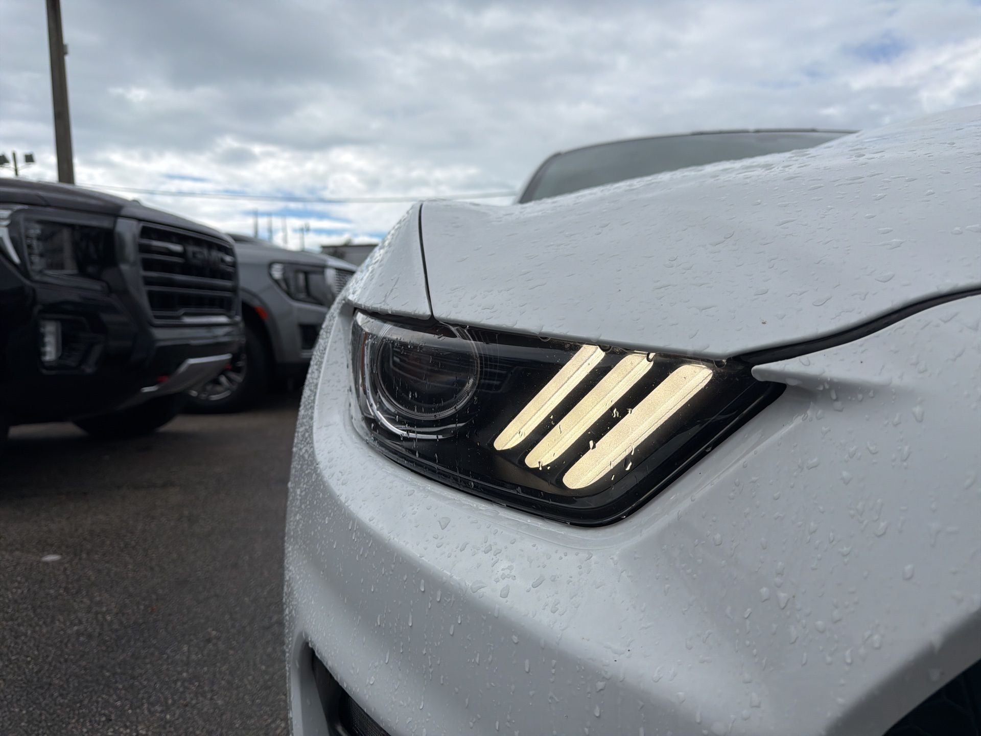 2019 Ford Mustang Shelby GT350