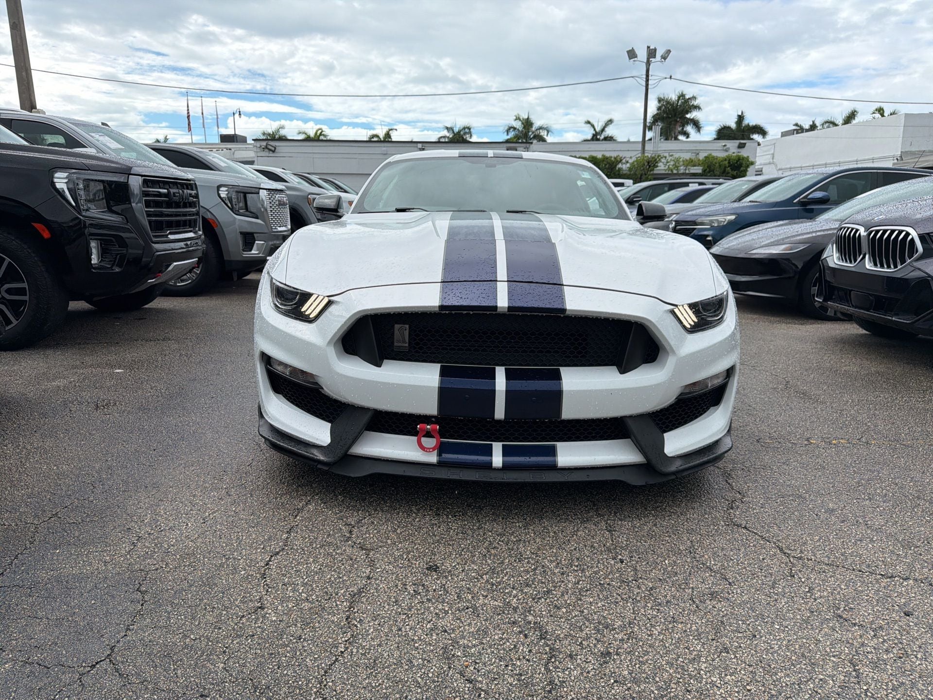 2019 Ford Mustang Shelby GT350