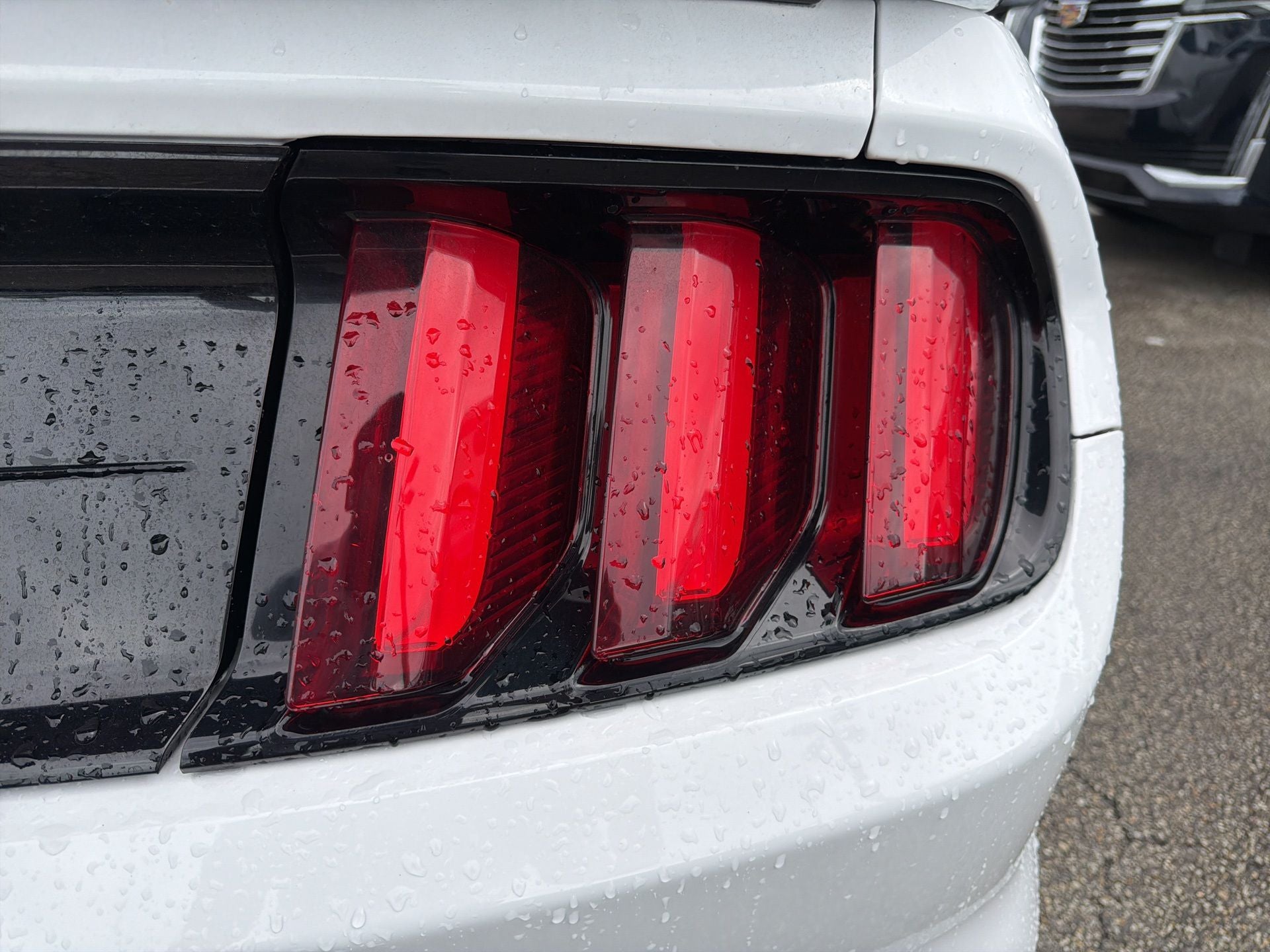 2019 Ford Mustang Shelby GT350