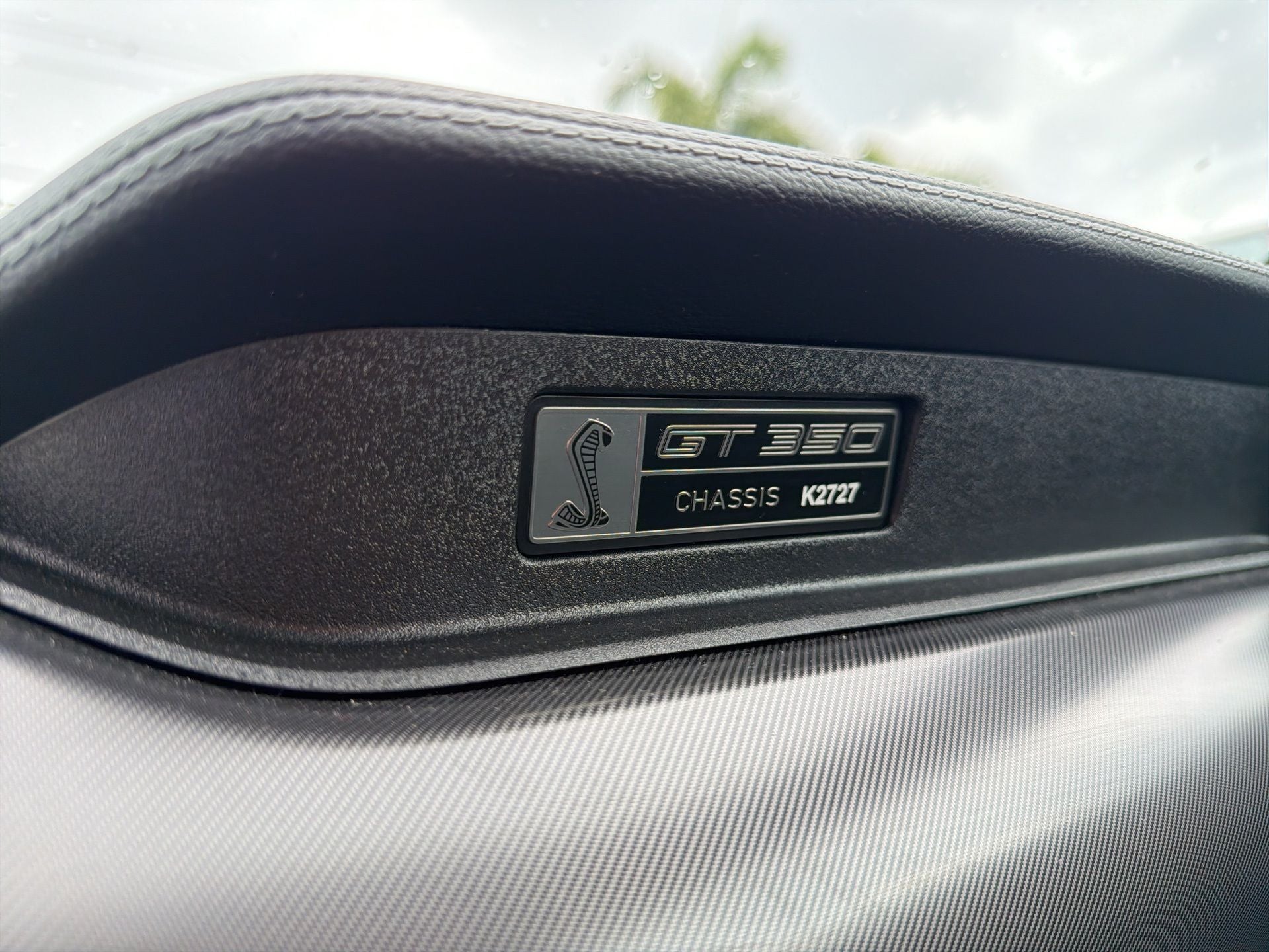 2019 Ford Mustang Shelby GT350