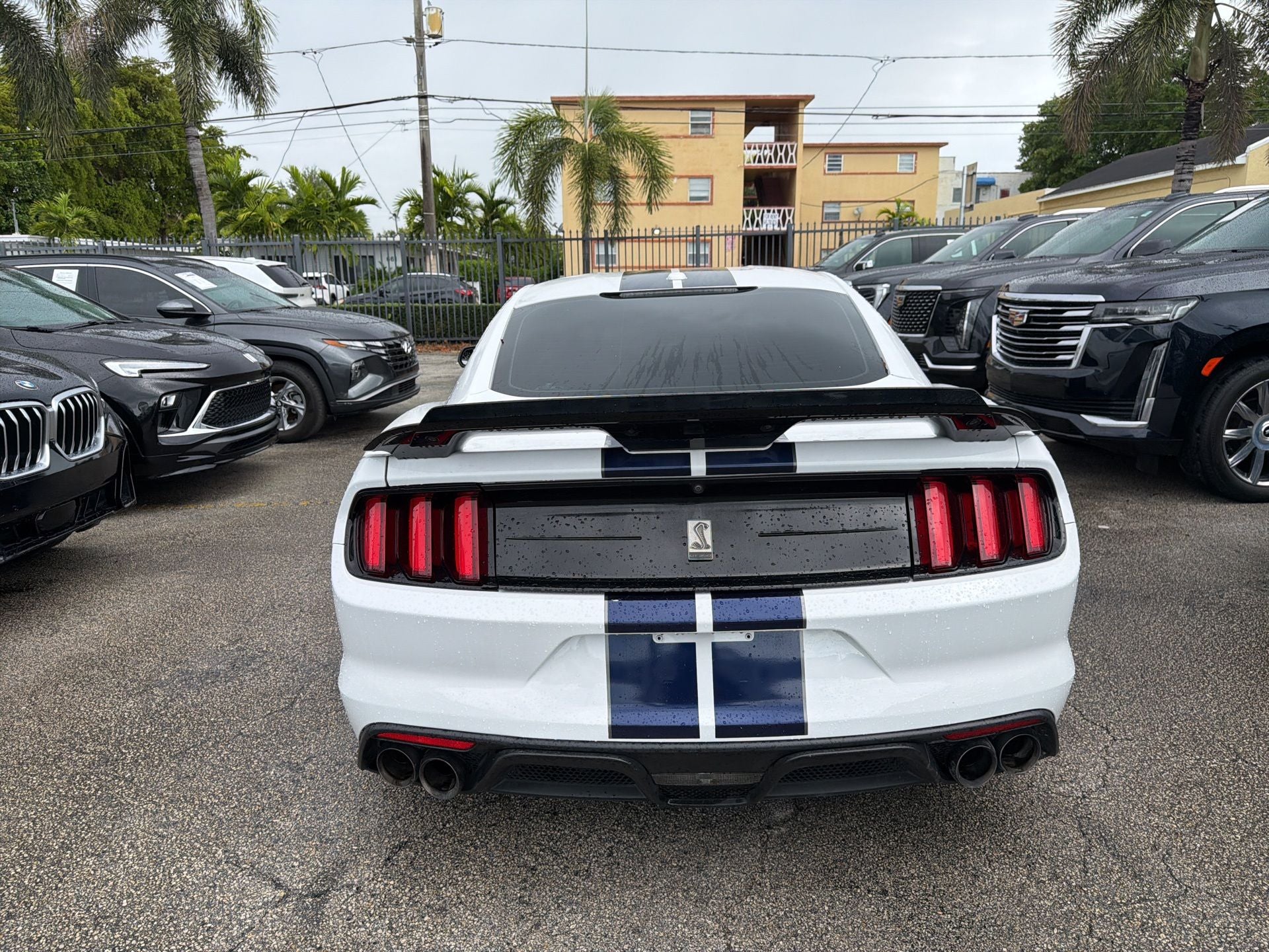2019 Ford Mustang Shelby GT350
