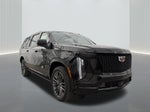 2025 Cadillac Escalade ESV Sport Platinum